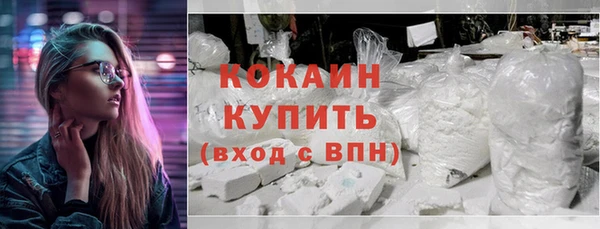ПСИЛОЦИБИНОВЫЕ ГРИБЫ Строитель