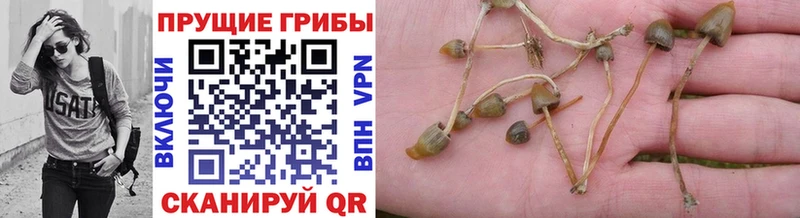 даркнет как зайти  Дигора  Галлюциногенные грибы мухоморы  продажа наркотиков  мега ТОР 